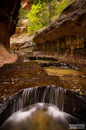 The Wishing Wells