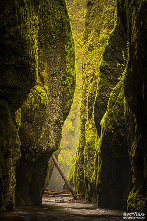 Emerald City