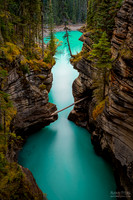 Building Bridges