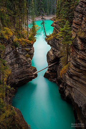 Building Bridges