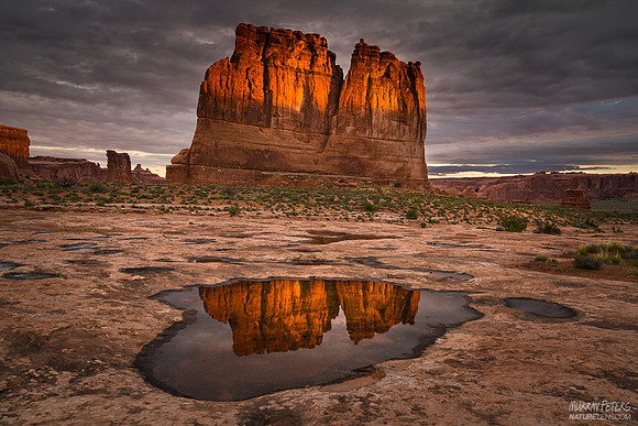 Desert Hymns 2