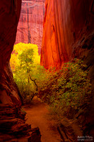 Melody Canyon