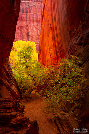 Melody Canyon