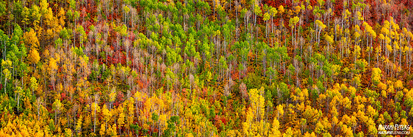 Color Outside The Lines