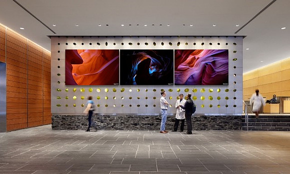 Murals