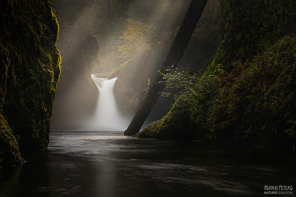 Light and Shadow