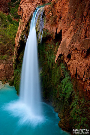 The Healing Water