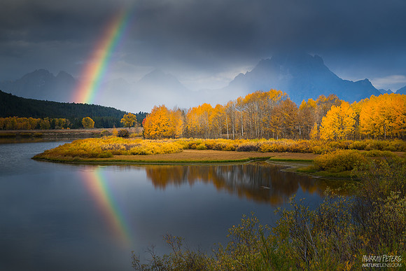 The Covenant
